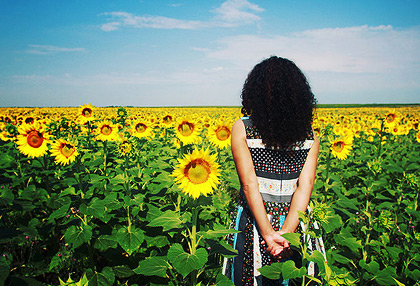 成本优化显著的在线短信轰炸机网页版